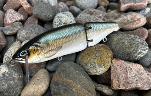 Sage Gizzard Shad 6.5” Glidebait