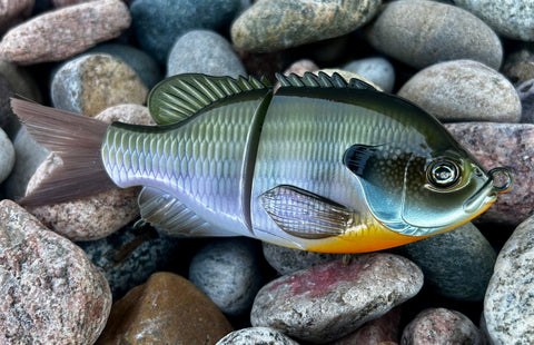 Natural Gill Glidebait