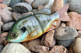 4D Gill Glidebait