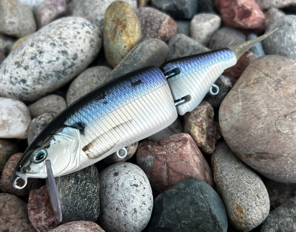 Alewife 5” Glidebait Alewife 5” Glidebait