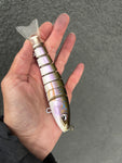 Rainbow Smelt Swimmer