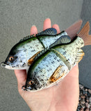 Black Crappie Small Glidebait