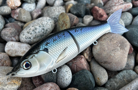 Alewife 7” Lit Glide