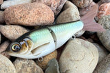 Sage Gizzard Shad 4.5” Glidebait
