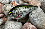 Black Crappie 1.5 Squarebill Crankbait Silent