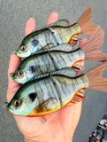 4D Gill Small Glidebait