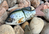 Black Crappie Small Glidebait