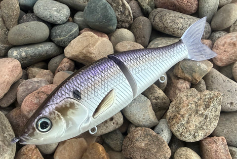 Threadfin Shad 7” Lit Glide