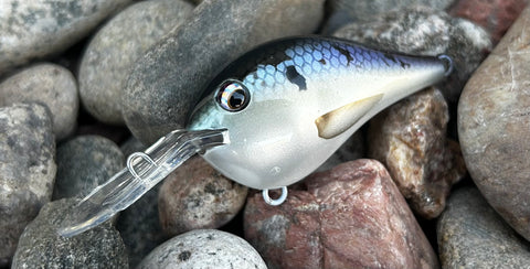 Alewife 6 Medium Diving Crankbait
