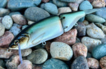 Sage Gizzard Shad 6.5” Glidebait