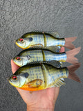 Showstopper Gill Glidebait