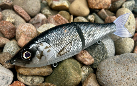 Gizzard Shad 7” Lit Glide