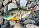 Blush Gill Glidebait