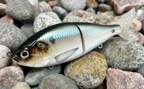 Sage Gizzard Shad 6.5” Swimbait