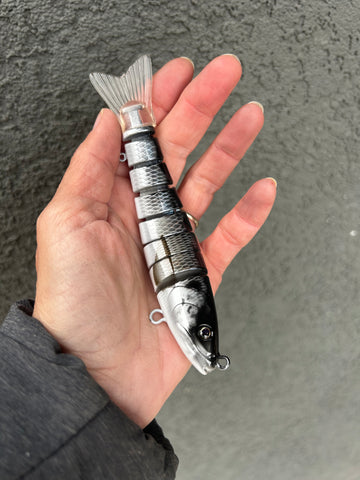 Gizzard Shad Swimmer