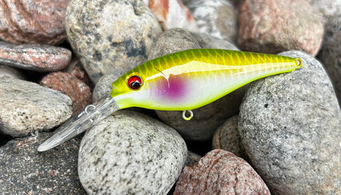 Tennessee Shad Minnow