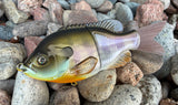 Natural Gill Glidebait