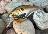 Glow Up Shad 2.5 Chrome Squarebill Crankbait