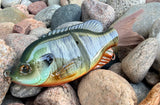 4D Gill Small Glidebait
