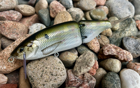 Gator Shad 6.5” Glidebait