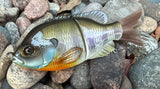 Natural Gill Glidebait