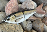 Golden Shad 4.5” Glidebait