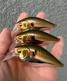 Glow Up Shad 1.5 Squarebill Crankbait