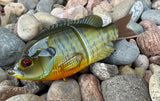 Showstopper Gill Glidebait