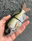 Black Crappie Glidebait