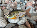Natural Gill Small Glidebait