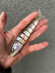 Rainbow Smelt Swimmer