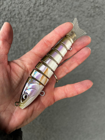 Rainbow Smelt Swimmer