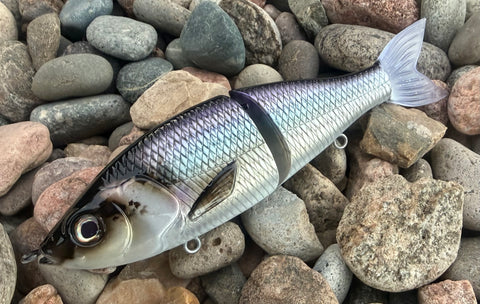 Flashy Gizzard 7” Lit Glide