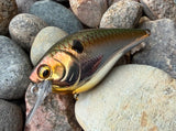 Glow Up Shad 1.5 Squarebill Crankbait