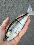 Golden Shad 6.5” Glidebait