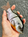 Natural Gill Glidebait