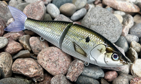 Gator Shad 7” Lit Glide