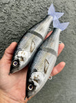 Gizzard Shad 7” Lit Glide