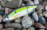 Table Rock Shad 6.5” Glidebait