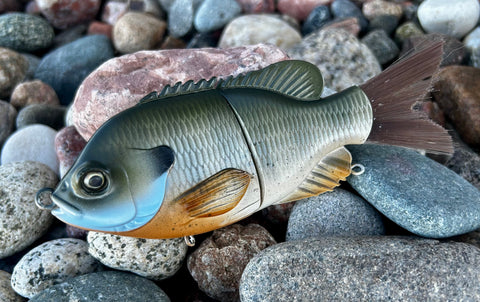 Autumn Gill Glidebait