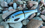 Threadfin Shad 7” Glidebait