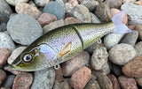 Rainbow Trout Lit Glide