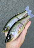 Rainbow Trout Lit Glide