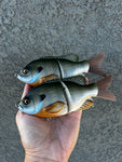 Autumn Gill Glidebait